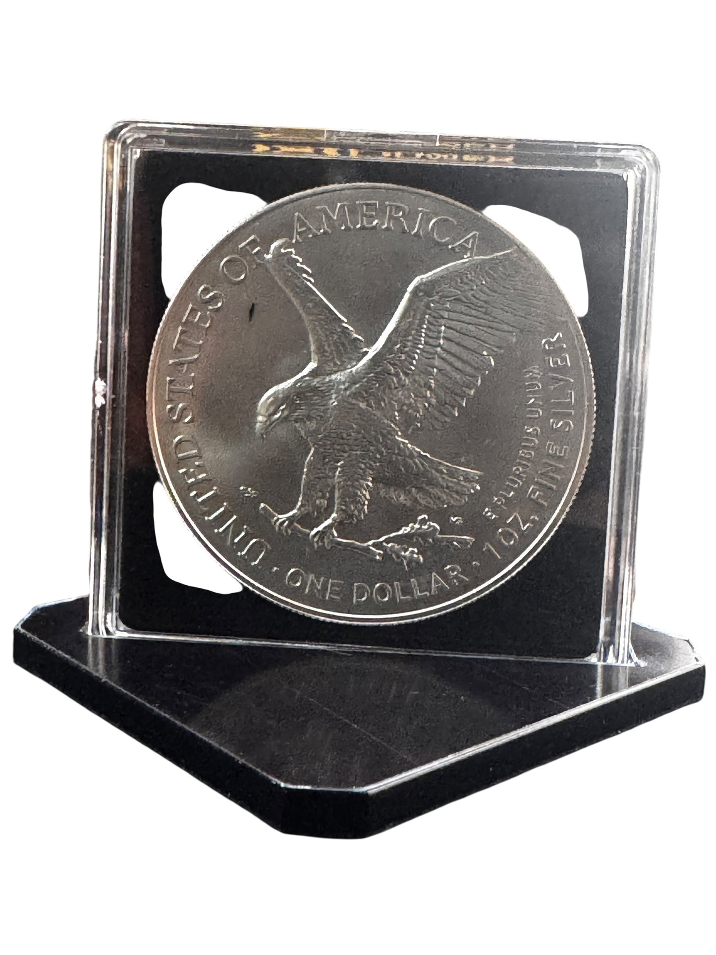 2024 Silver Eagle Grizzly Bear Edition Colorized 1oz .999 Silver Coin