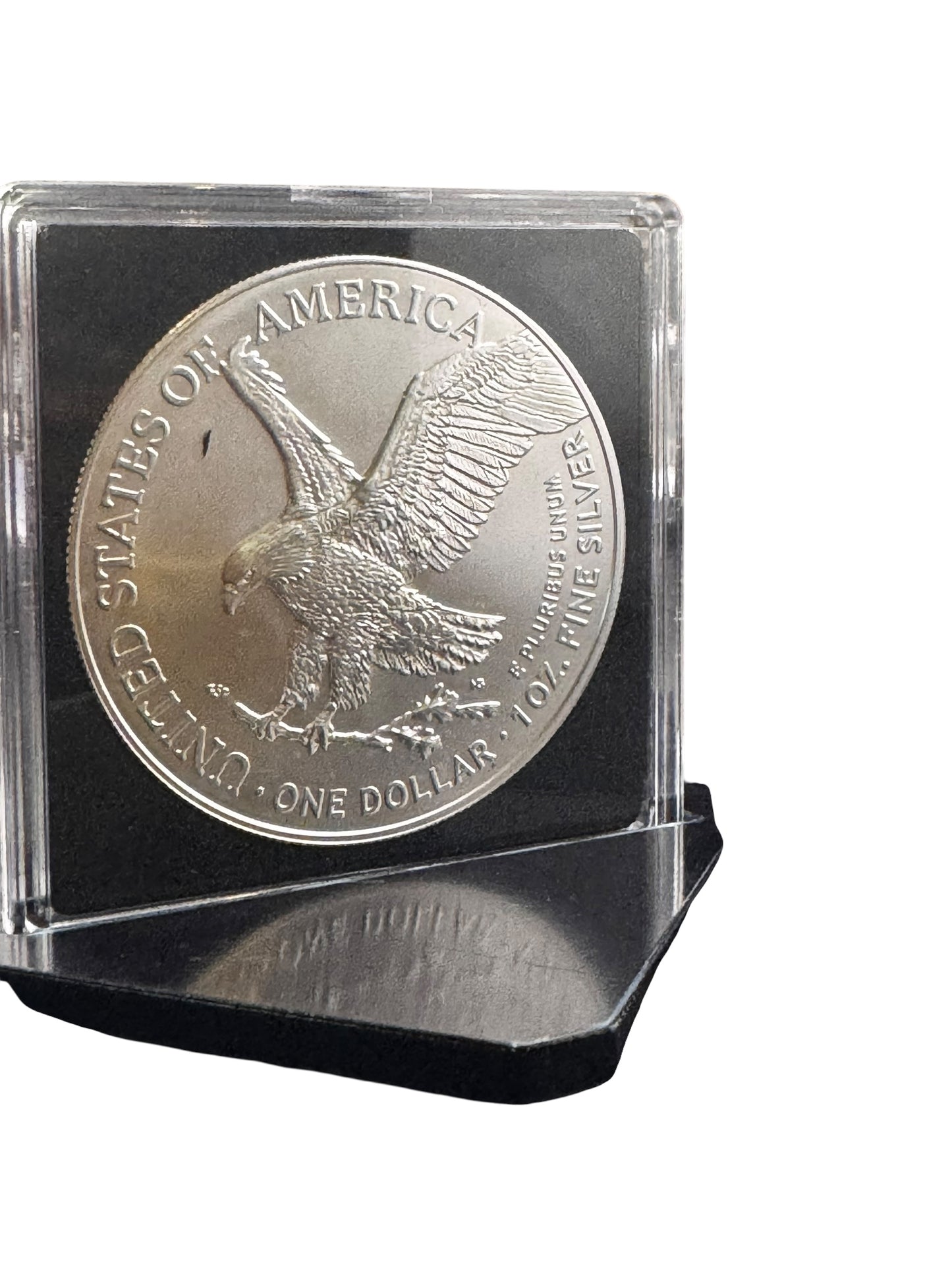 2024 Silver Eagle Grizzly Bear Edition Colorized 1oz .999 Silver Coin