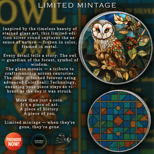 2025 Silver Eagle Mosaic Owl “Eyes of the Night” 1oz .999 Silver Coin - Captain’s Chest Bullion