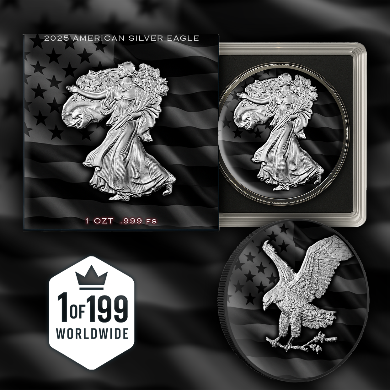 2025 Silver Eagle "Black Flag Edition" No Quarter 1oz Color Silver Coin