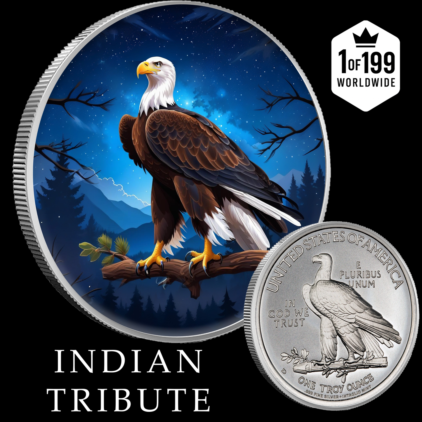 Intaglio Indian Tribute 1oz .999 Silver Fully Colorized Medal Limited Edition