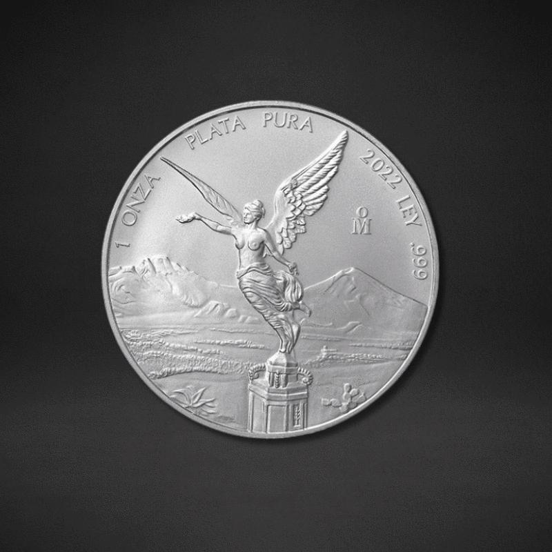 MEXICAN MINT - Captain’s Chest Bullion