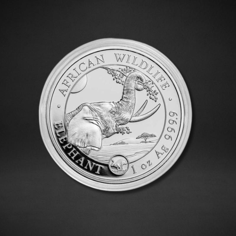 SILVER - Captain’s Chest Bullion