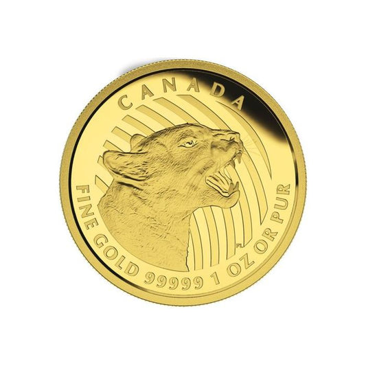 2015 1oz Canada Call Of The Wild Series - Gold Growling Cougar .99999 Gold Coin (In Assay) Captain’s Chest Bullion