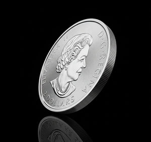 2020 Canada Red - Tailed Hawk 1/2oz .9999 Colorized Coin - Captain’s Chest Bullion