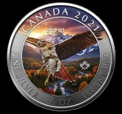2020 Canada Red-Tailed Hawk 1/2oz .9999 Colorized Coin
