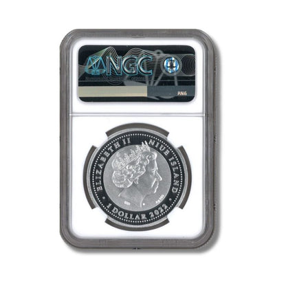 2022 Niue Year of the Tiger 10 Gram Silver Colorized Proof Coin – PF 69