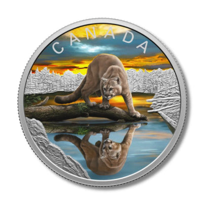 2024 Canada Wildlife Reflections Cougar 1 oz Silver Colorized Proof Coin