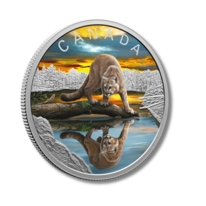 2024 Canada Wildlife Reflections Cougar 1 oz Silver Colorized Proof Coin