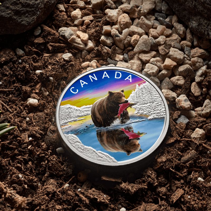 2024 Canada Wildlife Reflections Grizzly Bear 1 oz Silver Proof Coin