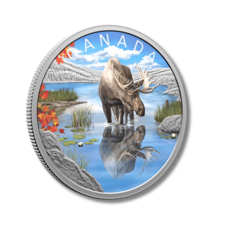2024 Canada Wildlife Reflections Moose 1 oz Silver Colorized Proof Coin