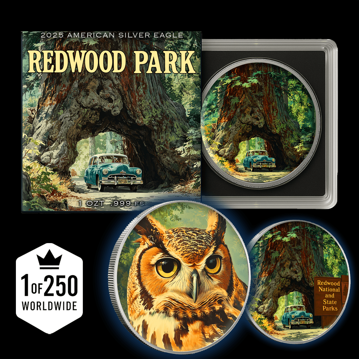 2025 Silver Eagle National Park Series "Redwood" Colorized 1oz .999 Silver Coin - Captain’s Chest Bullion