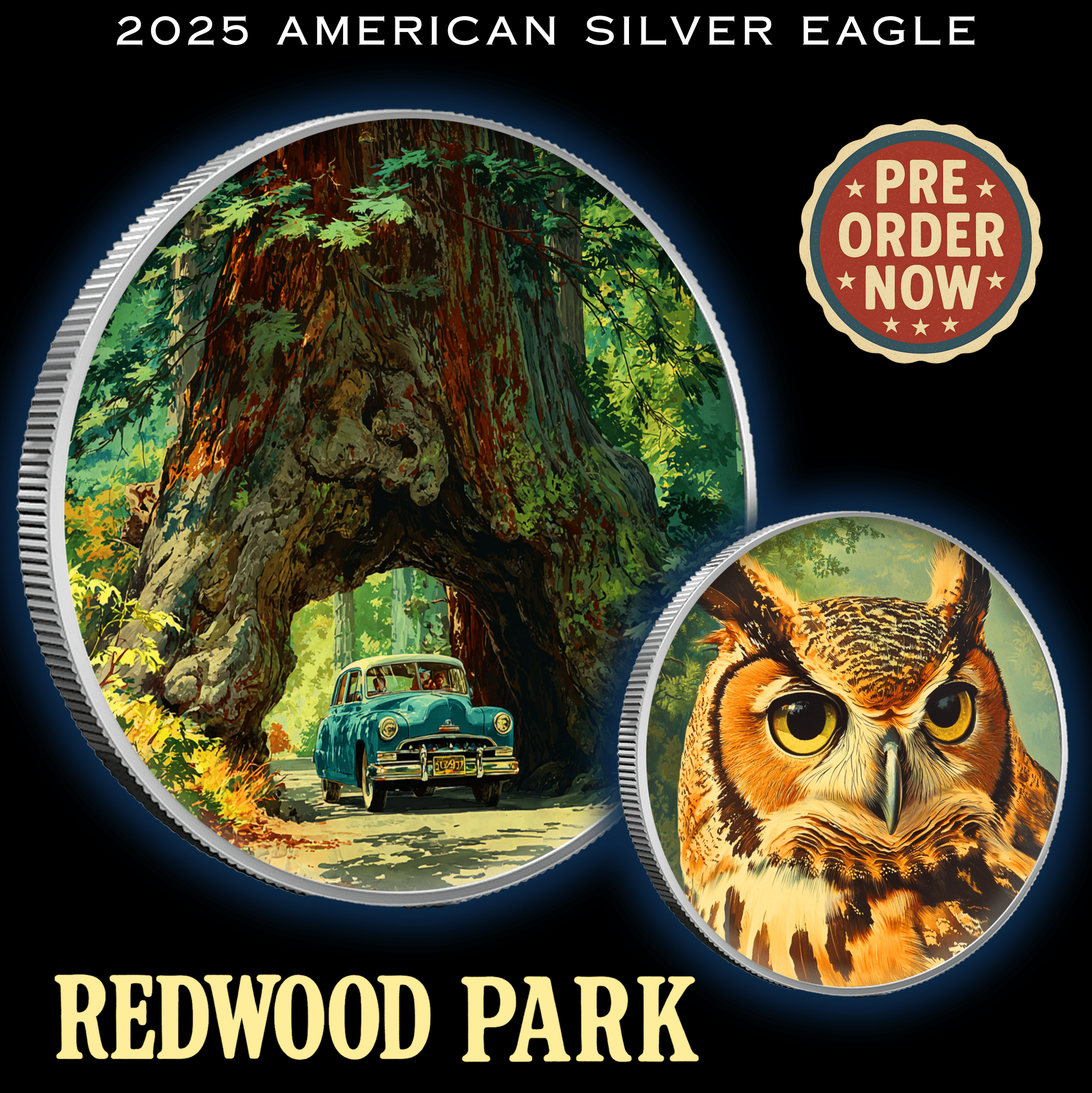 2025 Silver Eagle National Park Series "Redwood" Colorized 1oz .999 Silver Coin - Captain’s Chest Bullion