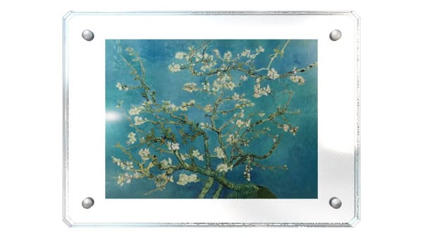2025 1oz Almond Blossom Vincent Van Gogh Huge .999 Silver Coin