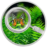 2024  Cameroon 17.5 g Butterflies Chrysiridia Rhipheus .999 Silver Coin