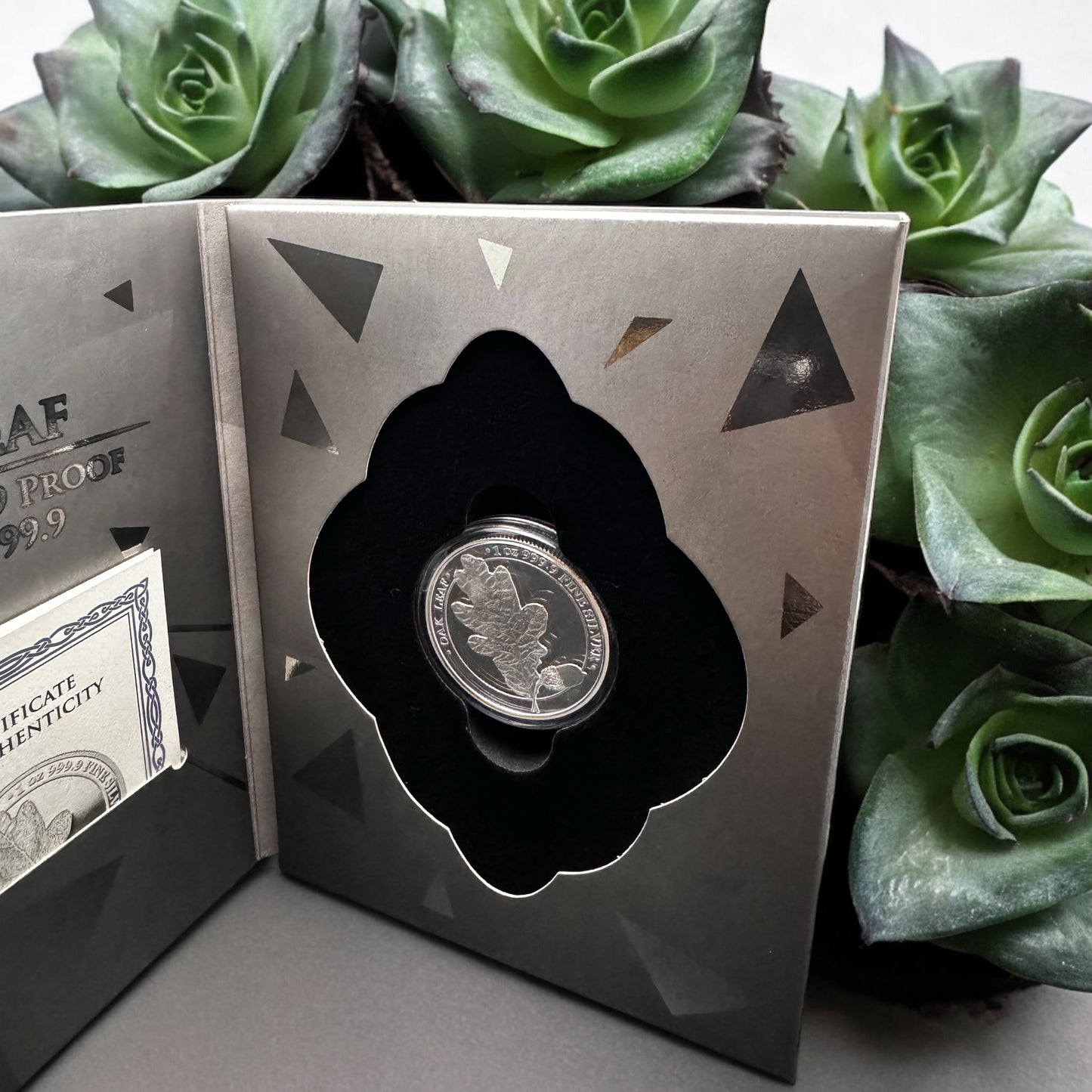 2019 Germania Oak Leaf 1oz Proof Silver Coin