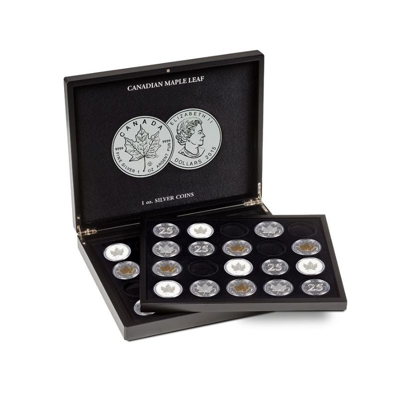 Display coin case for 20 Canadian Maple Leaf silver dollars with black velour tray and silver Maple Leaf design.