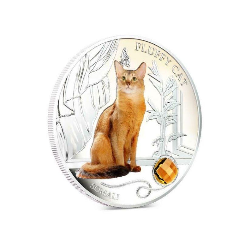 Fiji 2013 $2 Somali Fluffy Cat 1 Oz Silver Coin featuring a detailed depiction of a Somali cat.