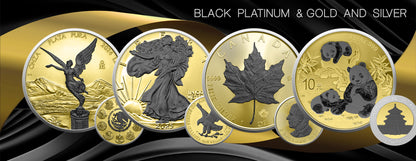 2024 Mexico Libertad Black Plat and Gold Gild Series 1oz .999 Silver Coin