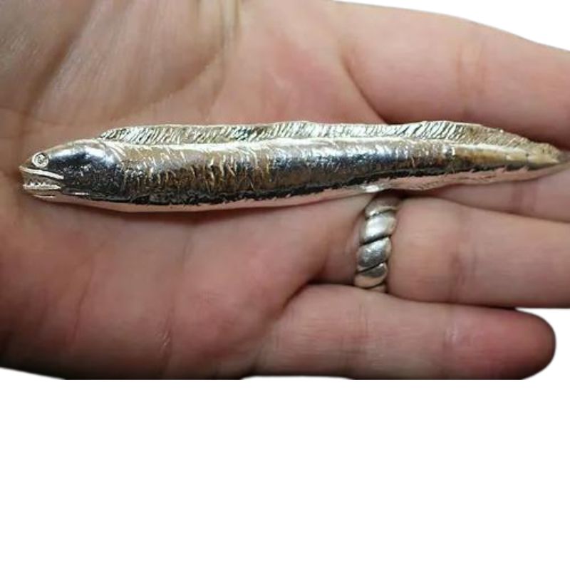 Moray Eel Hand-Poured Silver - Artisan-crafted silver piece showcasing the unique appearance and behavior of moray eels.