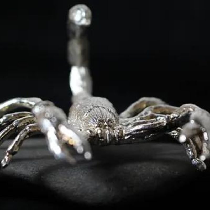 Scorpion Hand-Poured Silver - Detailed, artisan-crafted silver piece featuring a scorpion design.