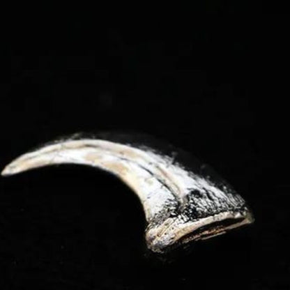 Velociraptor Claw Replica - Realistic and detailed replica of a Velociraptor's sickle-shaped claw.