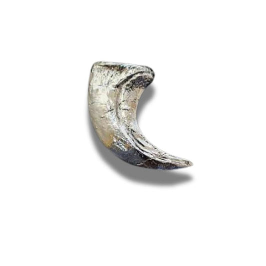 Velociraptor Claw Replica - Realistic and detailed replica of a Velociraptor's sickle-shaped claw.