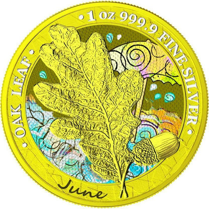 Germania 2019 5 Mark Oak Leaf  12 Months Series June 1 Oz Silver Coin