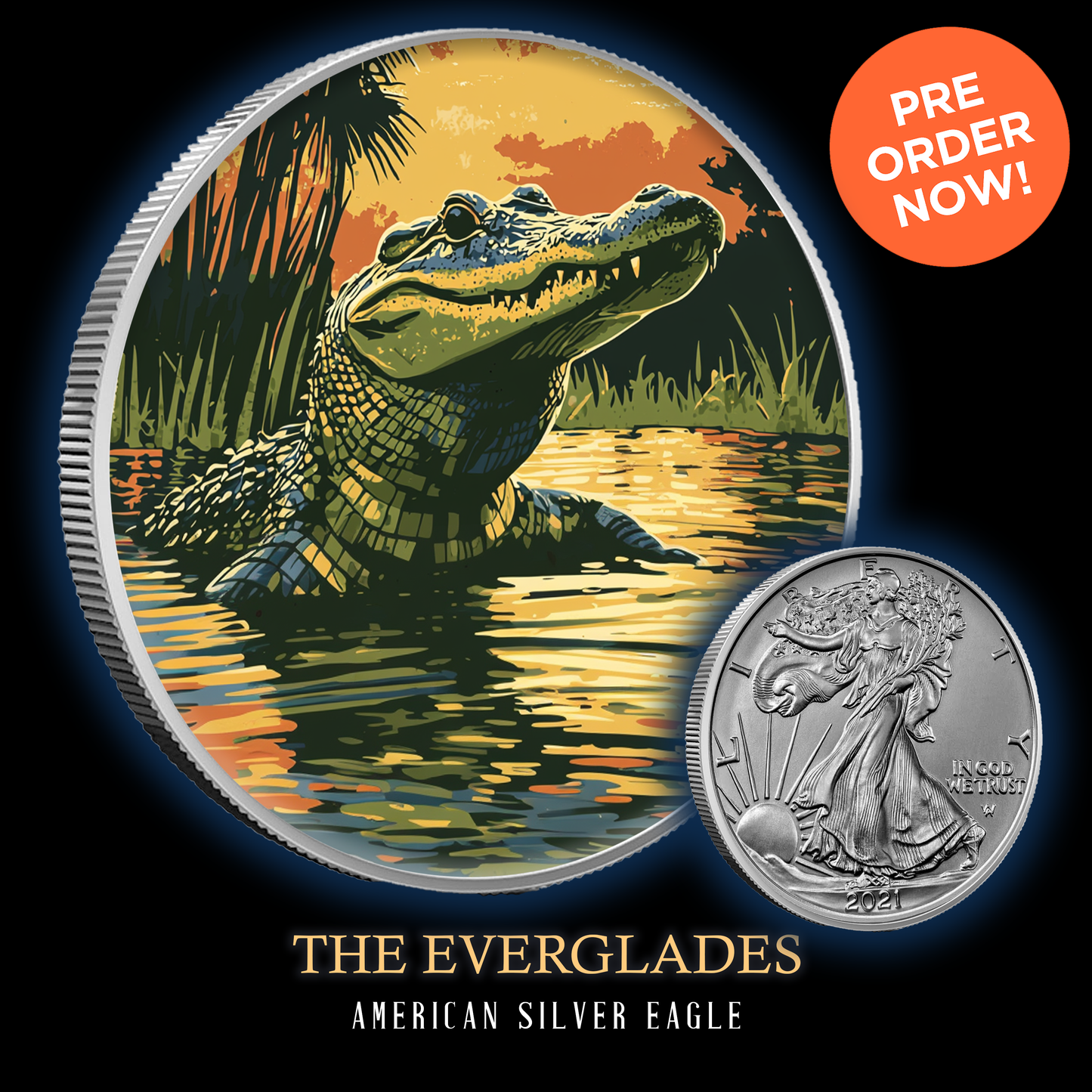 2024 Silver Eagle Everglades National Park .999 Silver 1oz Coin Colorized