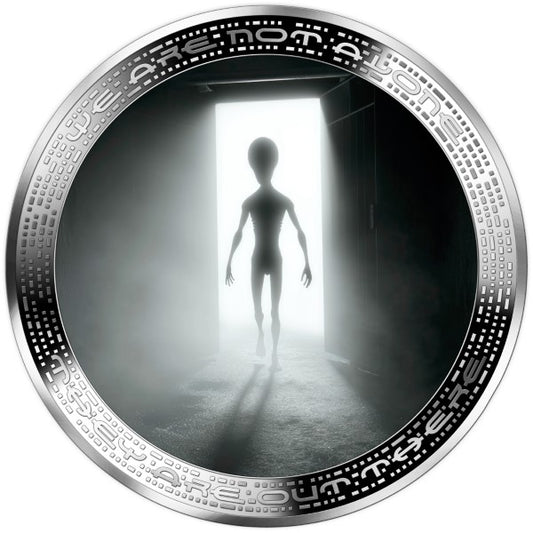 2025 Cameroon 2oz Doorway .999 Colorized Silver Coin
